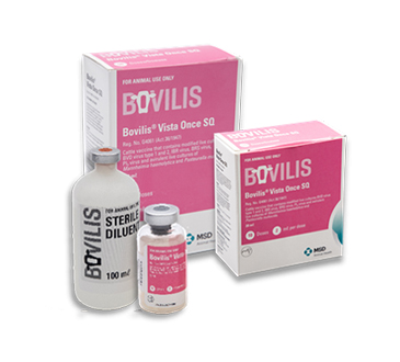 Bovilis_vtm